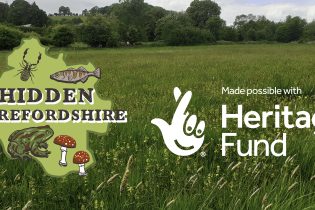 Hidden Herefordshire project concludes