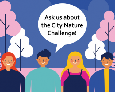City Nature Chatting – come and talk to us about the CNC!